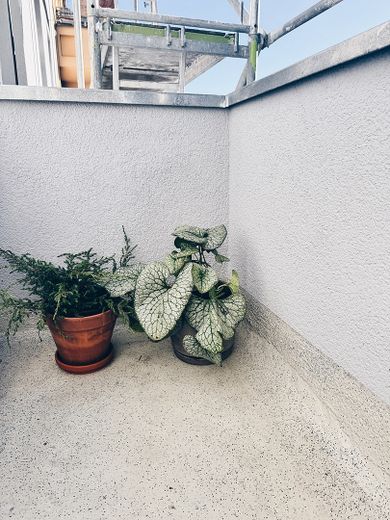 PROVISIONSFREI: Sanierte Altbauwohnung mit Balkon im Winsviertel – Foto 14