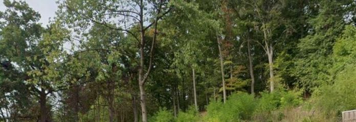 Traumgrundstück in bester Aussichtslage: Ihr Logenplatz in Ahorn bei Coburg!
