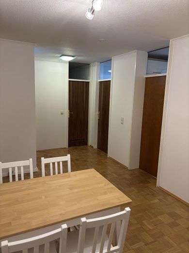 Neubezug nach Renovierung 4er-WG in der Oststadt – zentral, uninah, gemütlich – Gemeinschaftszimmer