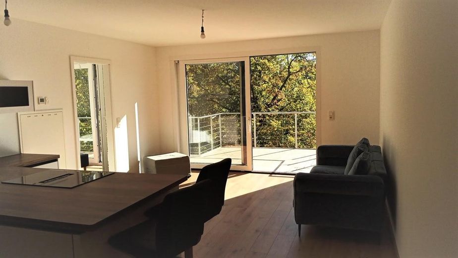 Appartamento di 3,5 locali in nuova costruzione esclusiva a Lohausen – Wohn- Essbereich Dachterrasse
