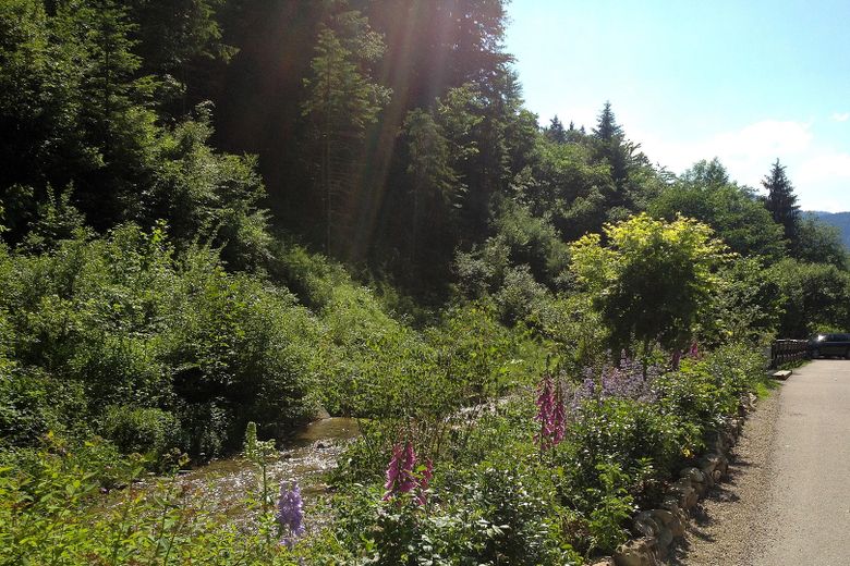 LOFTHAUS AM ALPBACH – eine seltene Gelegenheit im ursprünglichen Teil des Tegernseer Tals – Lage II