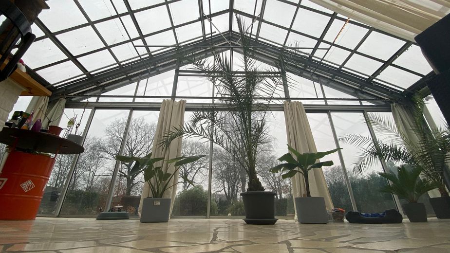 Glashaus vor Einrichtung