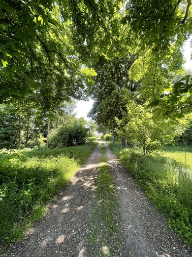 Haus mit Baugrundstück in Top Ortslage – Weg zum Waldsee
