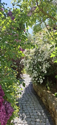 Wunderschönes,freistehendes Einfamilienhaus in Wismar Wendorf – Foto 7