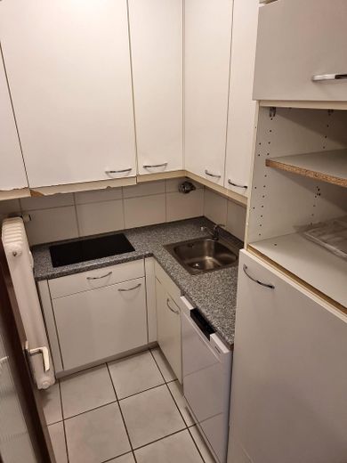 Einbauküche (renovierungsbed.)