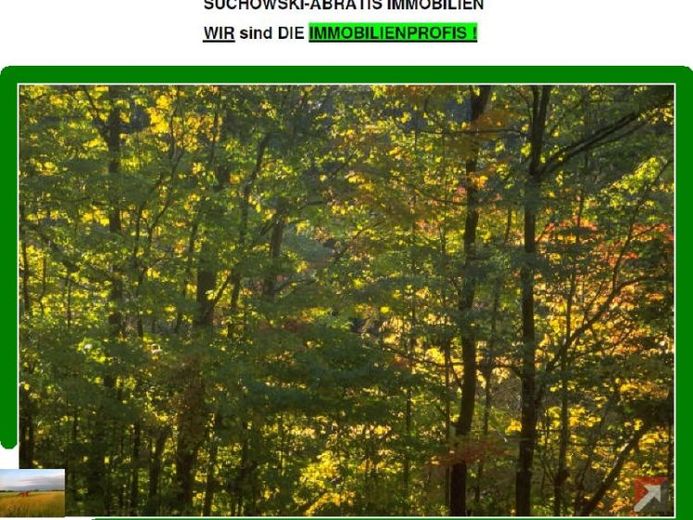 *** Wald 12 ha arrondiert *** – फोटो 1