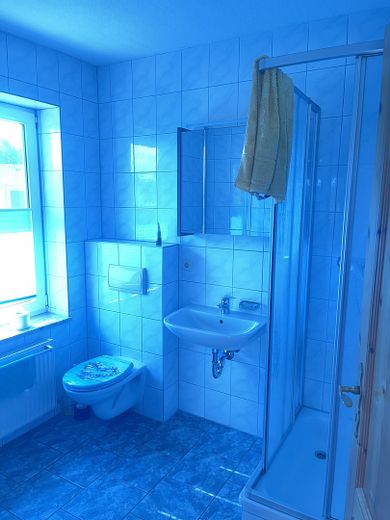 Gäste WC und Dusche