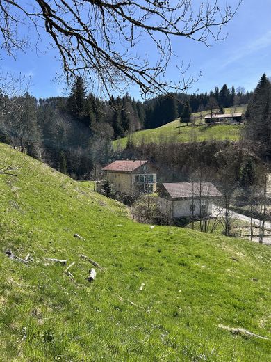 "Sonnenplateau" Grundstück mit Baugenehemigung in Traumlage im Herzen des Oberallgäus – Blick Grundstück und Nachbar 