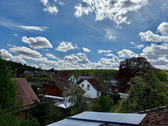 Idyllische Villa/Mehrfamilienhaus in grünem Erholungsort (Harz) - mit Ausbau-/Investmentpotential – Dachgeschoßblick Süden
