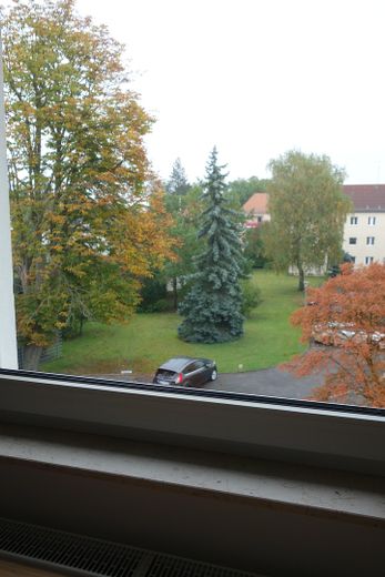 Schlafzimmer blickt ins Grüne