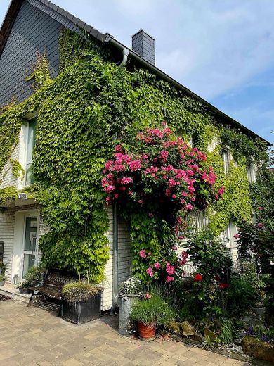 Top gepflegtes Haus*traumhafter Garten*zentrumsnah & naturverbundener Stadtteil Köln*3 Wohnkonzepte – Eingang