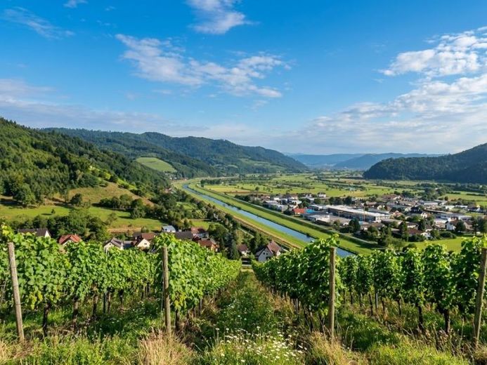 Lichtdurchflutete und gemütliche 2 Zimmer Etagenwohnung in Biberach im Kinzigtal – Foto 1
