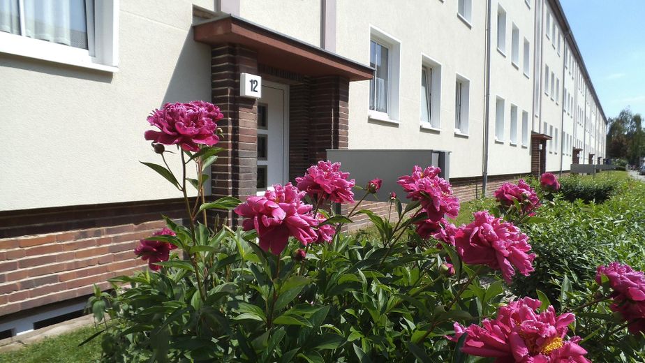 Mieszkanie 2-pokojowe/ Stadtfeld West/ 49m² – Zdjęcie 1