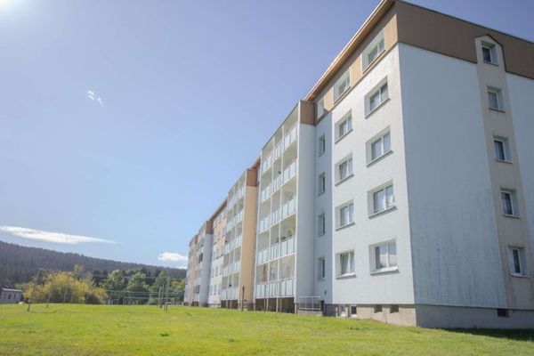 Luminoso appartamento di 2 locali in un contesto verde
