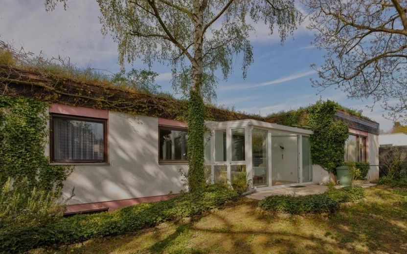 Ihr eigener Wald auf dem Dach  ---  Biotop statt Beton – फोटो 2