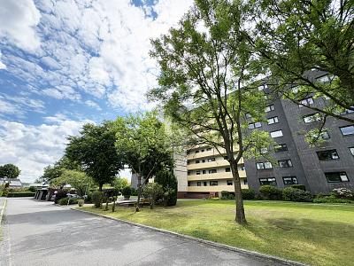 1780742524_479524.jpg
