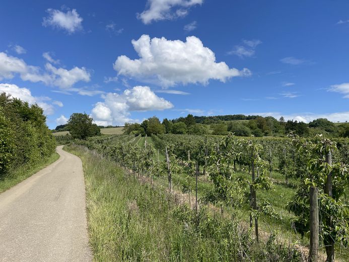 Direkte Umgebung und Natur