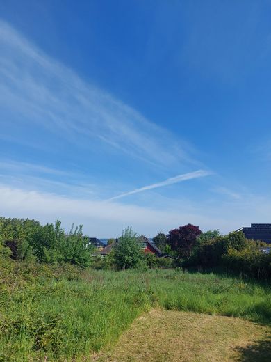 Küstenglück - große Baulücke in Westerholz nahe der Außenförde – Blick aufs Grundstück