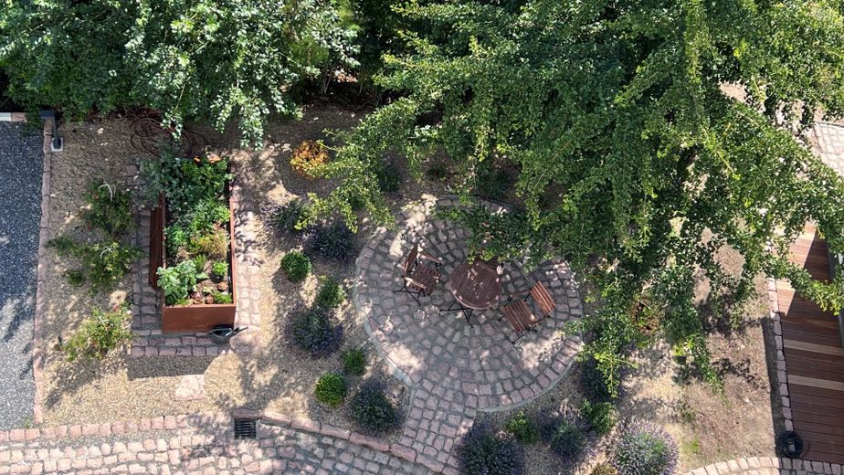 Penthouse-Traum mit Weitblick - Stillvolles Wohnen auf Rügen – Terrasse unter dem Ginkobaum