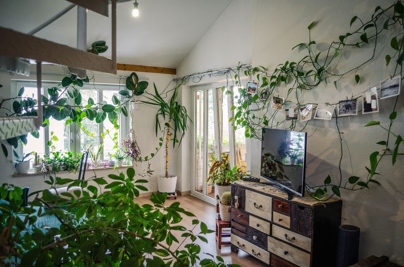 well-located maisonette condominium apartment with underground parking, only 200m to Wiesengrund! – Wohnzimmer 3
