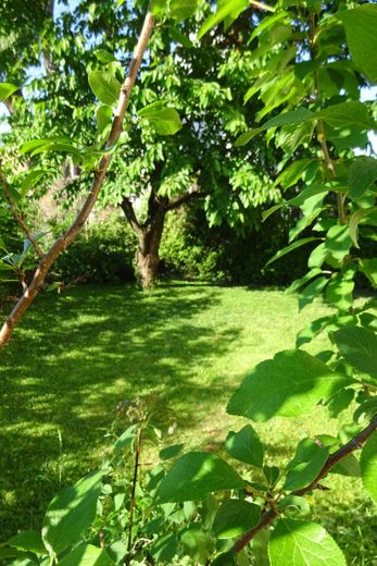 Raumwunder mit Potenzial: Ihr neues Zuhause im Herzen von Markt Schwaben – Garten_1