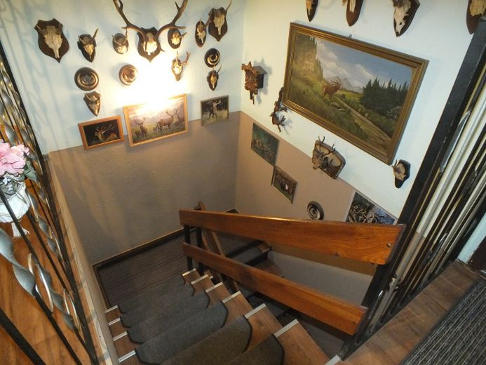 Provisionsfrei - Doppelhaushälfte in Waldnähe – Treppe zum Keller