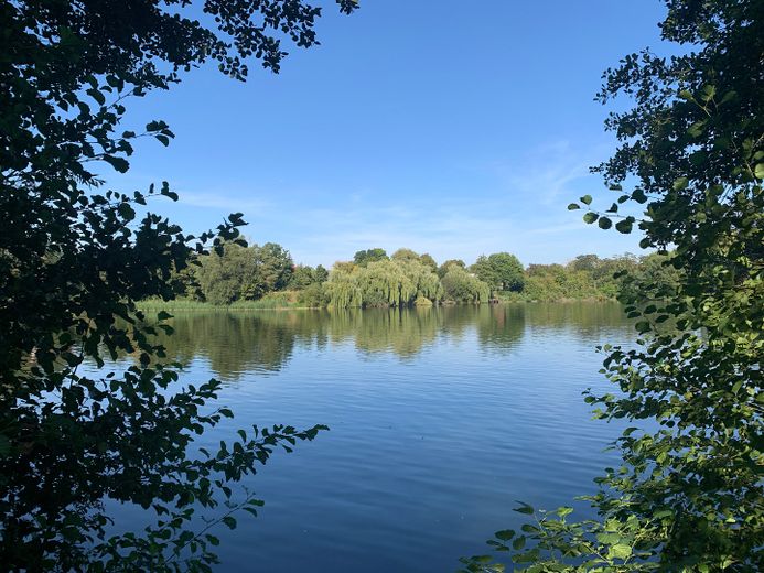 Baugrundstücke am See in Treuenbrietzen – Seeblick nach Osten