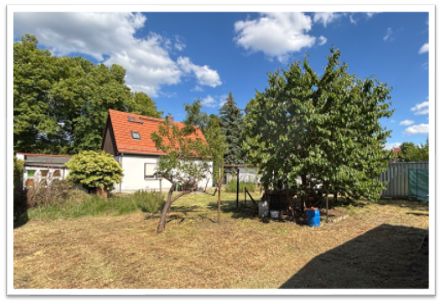 Blick aus hinterem Garten