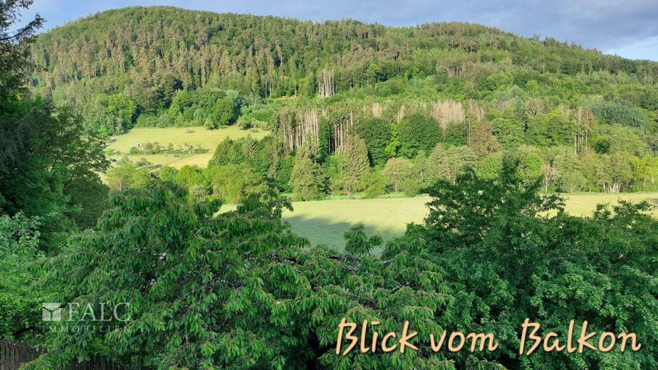 Repräsentatives Mehrfamilienhaus mit Traumgrundstück- – Blick vom Balkon