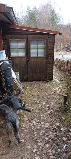 Ruhig, sicher und abseits von einer Stadt: Holzhaus Luxuslage im Wald eingebettet zwischen 3 Seen – Abstellraum/ Schuppen