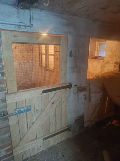 Haus in Freckleben mit großem Garten zu verkaufen – IMG-20260323-WA0031