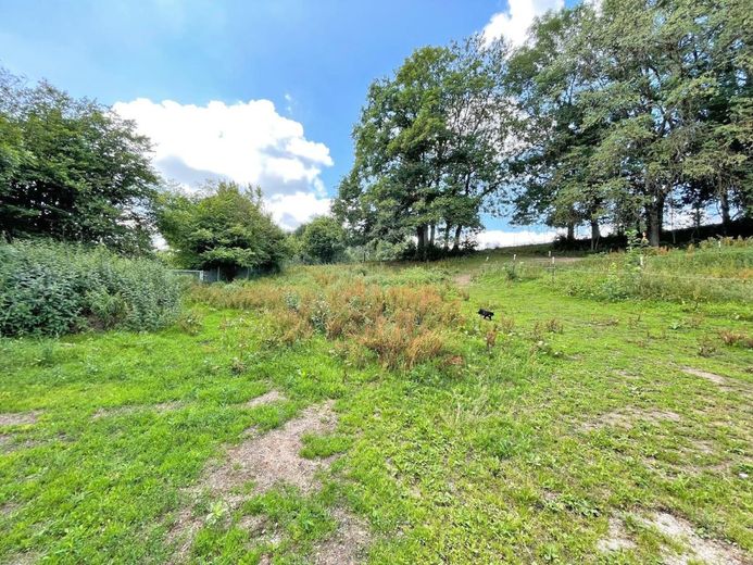 Osthessen, Landkreis Fulda, 36154 Hosenfeld, grosses Wohnhaus mit Pferdestall zu verkaufen – 2601 Osthessen, Landkreis Fulda, 36154 Hosenfeld, grosses Wohnhaus mit Einliegerwohnung + Pferdestall zu verkaufen