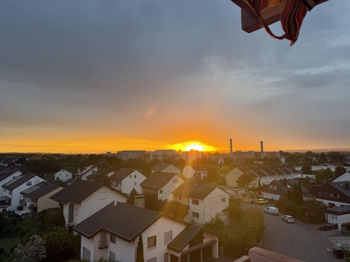 Puestas de sol de ensueño: luminoso apartamento de 1 habitación con logia, ascensor – Photo 9