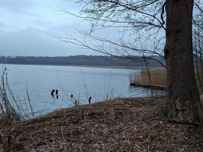 Hanglage trifft Wasserblick – Foto 1