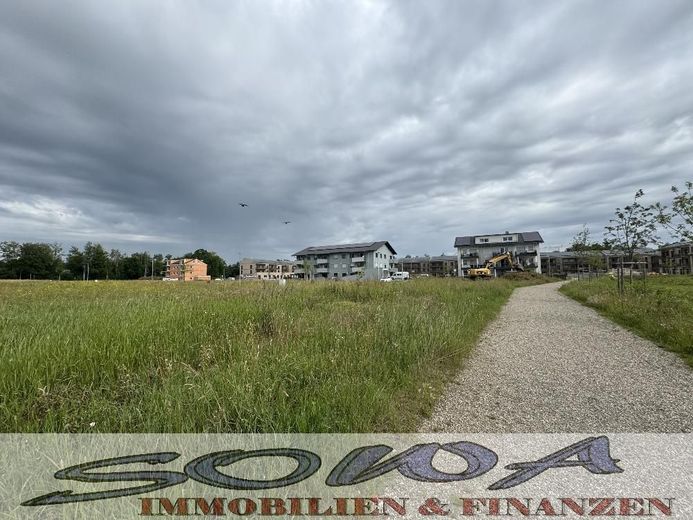 Gut geschnittenes Baugrundstück ohne Bauzwang in Neuburg Heinrichsheim - Ein Objekt von Ihrem Immobilienpartner SOWA Immobilien und Finanzen – Bild 7