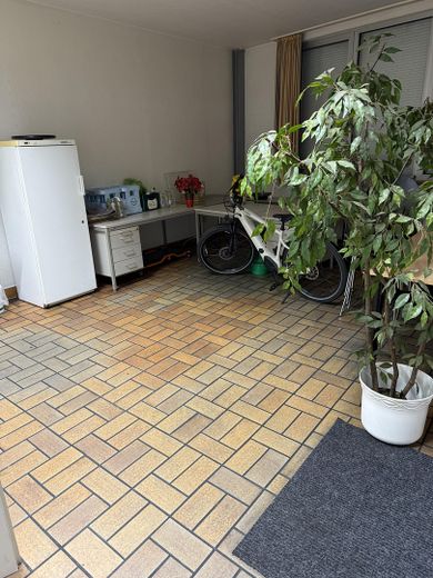 Halle – Foto 10