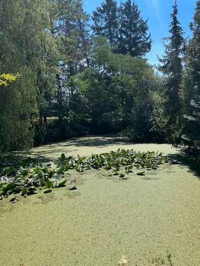 Raro terreno ricreativo da sogno con lago, in vendita in un’area naturale protetta – Foto 9