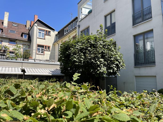 Provisionsfrei: Wunderschöne, ruhig gelegene Dachterrassenwohnung in Frankfurt Bornheim – Foto 16