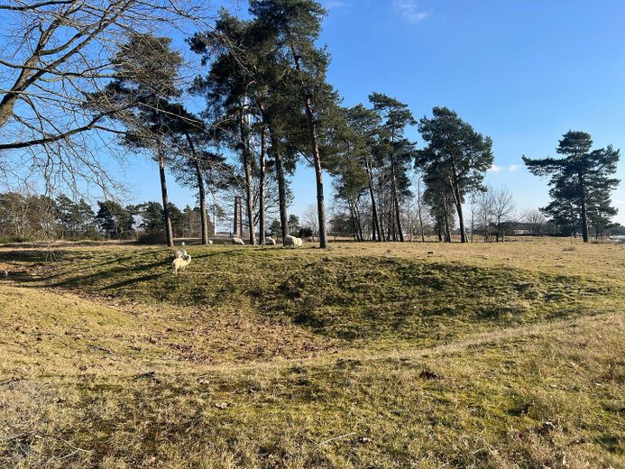 Imposante Rarität Massive Gewerbehalle in Ehemaligen Kasernegelände – Naturschutz