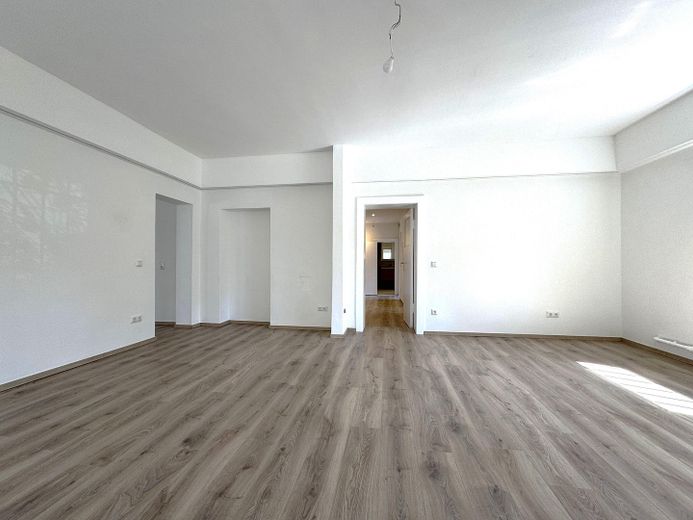 Sanierter Erstbezug- sehr helle 2-Zimmerwohnung, auch als Gewerbe nutzbar – Wohnzimmer Blick Flur