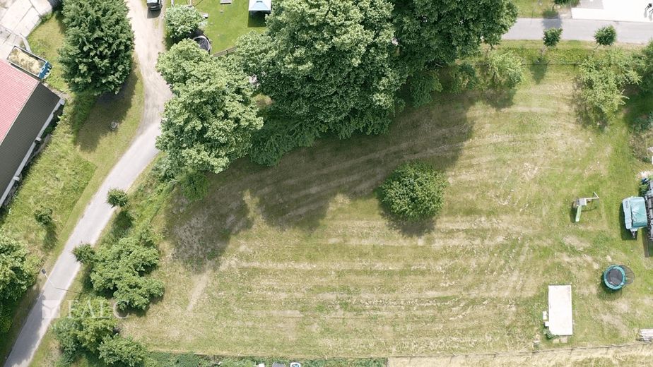 ***Großzügiges Baugrundstück mit Obstbaumbestand in Boddin/ Wittendörp*** – Grundstück mit Garten