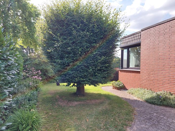 Blick in den Garten Südseite