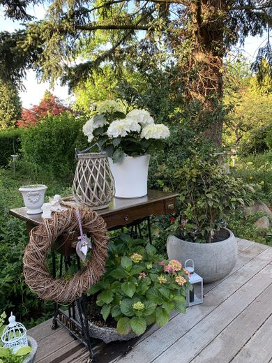 Impression (Garten)