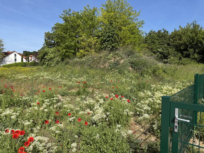 Modernes KfW-40-QNG-Massivhaus mit Garten – Top-Lage in Saulheim, PV & Wärmepumpe inklusive – Unverbaubare Lage im Grünen