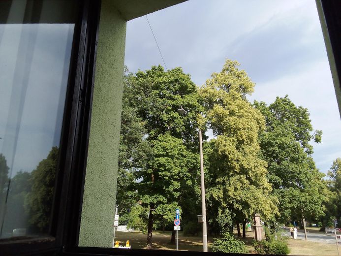Ausblick vom Wohnzimmer