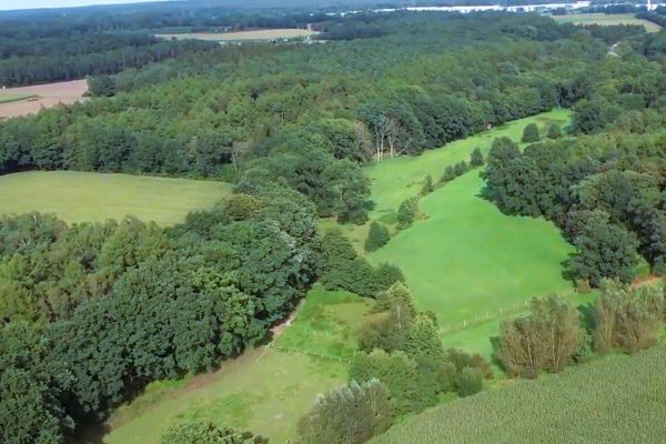 #UNBEATABLE BARGAIN PRICE#GIANT FOREST PROPERTY#HEATH REGION+3 HOUSES INCLUDED FREE#SEE TEXT