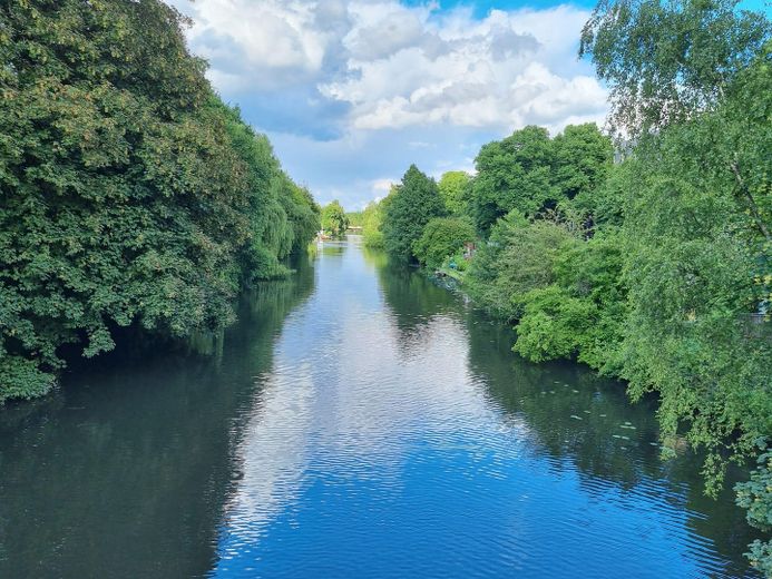 L’eau murmure « devant la porte » – des canards et des cygnes nagent dans l’eau ! – Photo 3