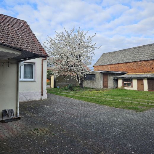 Hofanlage mit Wohnhaus, Scheune & ca. 5.000 m² Land – provisionsfrei – Hausansicht im Frühling