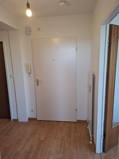 Wohnungstür 1