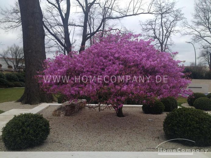 Piso muy bonito en una villa única en Westend – b0e8541319fd4eae11bb850c236d40f3334d192d.jpg